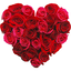 WASticker - Love flowers 6.5