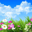 Flower Spring Live Wallpaper 7.5