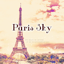 Eiffel Tower Theme-Paris sky- 1.0.1