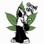 Grow Ops - The weed firm game; buy, farm, sale. 156