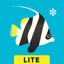 Peek-a-Zoo Underwater LITE 1.8