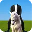 Horse With Man Photo Suit 29.0