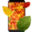 Autumn leaves 3D LWP 4.1.0.1
