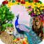 Peacock & Nature Photo Frames 2.1