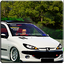 206 Driving Simulator 6.0
