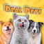 Real Pets: Adopt and Play! 552