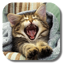Pussycat Live Wallpaper 1.8