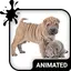 Cute Puppies Wallpaper Theme 5.9.11