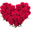 WASticker My Flowers Stickers 1.6