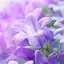 Lilac Flowers Live Wallpaper 9.0