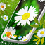 3D Daisy Spring Live Wallpaper 6.10.16