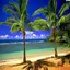 Hd Nature Wallpaper 1.0