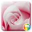 Rose ASUS ZenUI Theme 1.0.0.150708