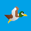 Duck Shoot! 1.4.5