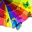 Butterfly Pictures & Butterfly Wallpapers Free 9.4