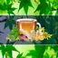 Medicina natural 2.3.6