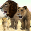 Lion Family Simulator 1.3