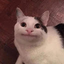 Stickers: Cute Funny Animals 3.0