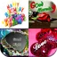 All Wishe GIF / Greeting. 1.37