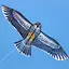 Kites Designs 1.2