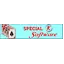 500 Card Game From Special K Software 6.20