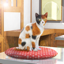 Sweets Shop-Wagashiya 1.2