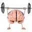 Memory Training