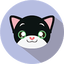 What cat breed are you? Test 1.4