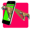 AR 3D Animals 3.8