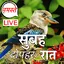 Hindi Good Morning to Night 9.12.13.0