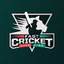 Fast Cricket Live Line 2.1.4