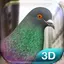 Pigeon Simulator 1.2
