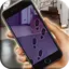 Find Footprints In Your Room ( 55.0