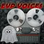 EVP VOICES 2020 8.01 2020 ed