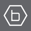 b·hyve lite 1.0