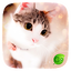 Lovely Cat Keyboard Theme 4.15