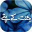 Jannat k Pattay by Nimra Ahmad 2.2