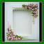 Photo Frame Ideas 2021-2022 1.0