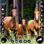Wild Horse Family Riding Game 1.40