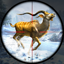 Deer Hunter Game: Animal Games 1.40