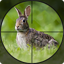 Rabbit Hunting Bow Games 1.2
