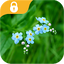 Applock Theme Nature 1.0