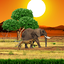Safari Live Wallpaper 1.0.8