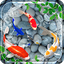 Koi Pet Fish Live Wallpaper 1.9