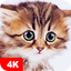 Cute Animal Wallpapers 4K 5.8.04