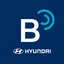 BlueLink