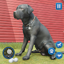 Dog Sim Pet Simulator Dog Life 1.3.0