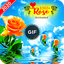 Rose GIF 1.11
