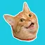 Stickr: Sticker Maker 1.1.79