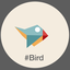 #Bird 1.0